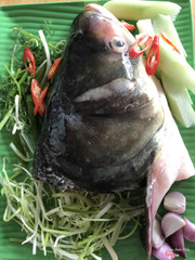 Lẩu đầu cá mè 2,5kg - 3,5kg