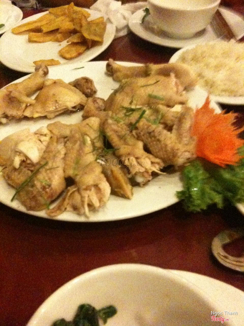 Thịt gà