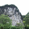 Tuyển Trần