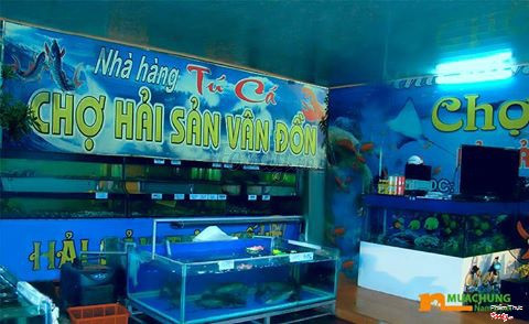 Bán buôn hải sản sống.