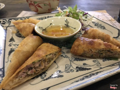 Spring rolls with pork and shrimp