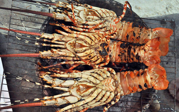 Bia Béo - Quán Nhậu