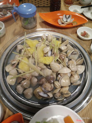 Ngao hấp