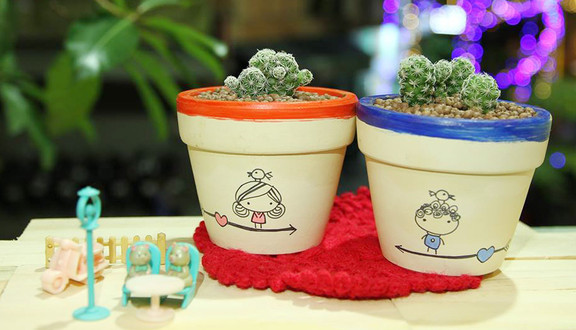 Bee Garden - Lọ Cát & Cây Cảnh Mini