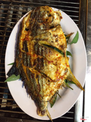 Cá chim nướng sa tế