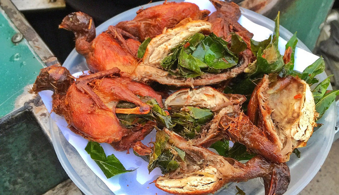 Chim Cút Chiên - Tân Triều