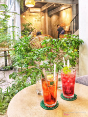 Trà Dâu Nha Đam và Trà Twilight