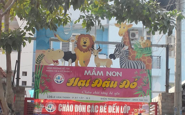 Mầm Non Hạt Đậu Đỏ