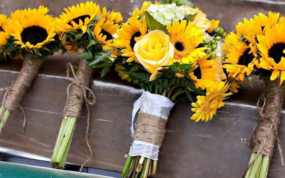 Cỏ Lan Chi - Chung Cư Tân Hưng