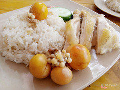 Cơm gà & trứng non lòng đào