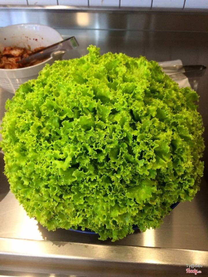 Nhìn cưng vậy không nở rút ăn 😻