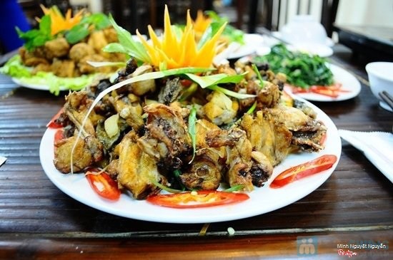 Lẩu ếch