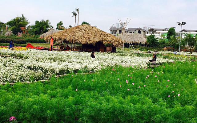 Thung Lũng Hoa Hồ Tây