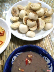 cà pháo mắm tôm