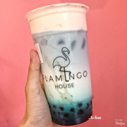 Trà sữa flamingo blue 43k