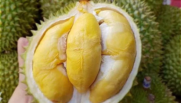 Cửa Hàng Sầu Riêng VMT