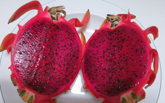 Thanh Long Ruột Đỏ