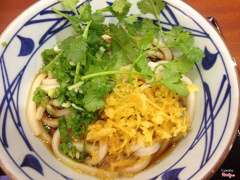 Mì udon
