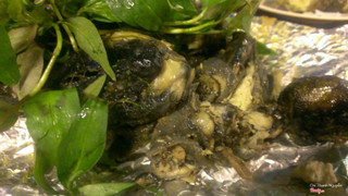 nhìn thì hơi không bắt mắt nhưng là đặc sản của quán. Nên gọi món này trước để quán chuẩn bị, mất khoảng 45p.