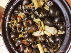 Ốc hút miền Trung