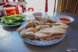 Nửa con vịt