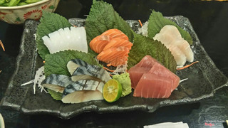 sashimi