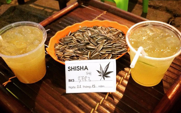 50 Shisha - Đào Duy Từ