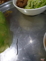 Đi từ gò vấp lên tân bình mua 2 bịch bún thịt về ăn chỉ vì thèm. Về nhà, đổ ra tô ăn thì thấy con giun bò lúc nhúc trong đống rau ??? Các bạn tăng giá mà làm ăn vậy hả trời. Quá coi thường sk ng dân