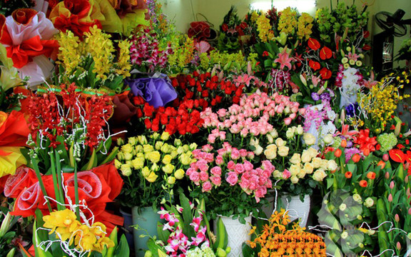 Thuỷ Mộc Flowers