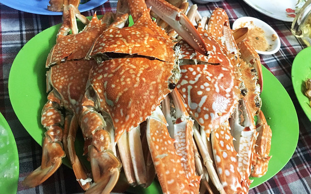 Út Liên 2 - Ốc & Hải Sản