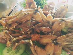 Ếch chiên nước mắm