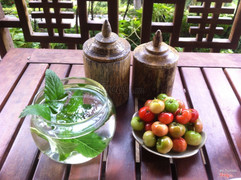 Sơ ri hái trên cây cạnh hồ bơi