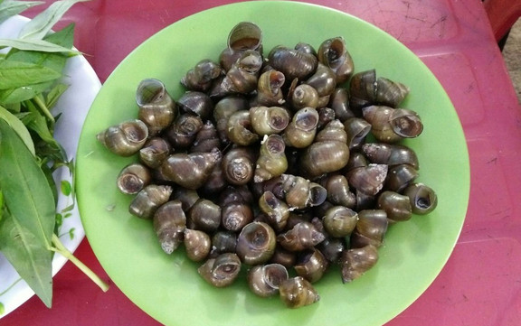 Trà Chanh Tuấn - Các Món Ăn Vặt