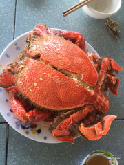 cua huỳnh đế hấp