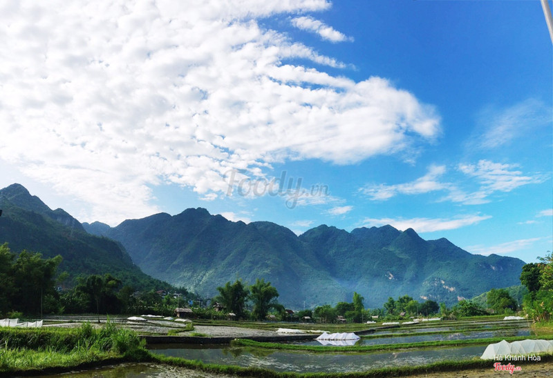 View đẹp dã man 