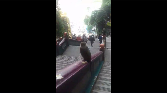 Batu Caves