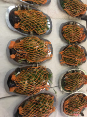 Cá bóng mú hấp hongkong