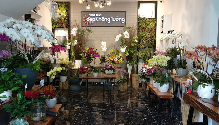 Hoa Tươi Đẹp Không Tưởng