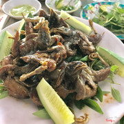 Cút ram mắm