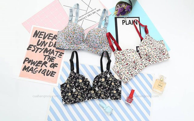 Shitagi Store - Cuahangnoiy.com