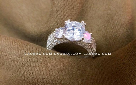 Cáo Bạc - Hải Phòng