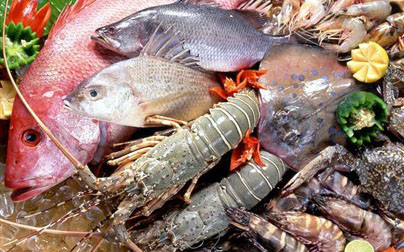 Hải Sản Cao Cấp - Triệu Việt Vương