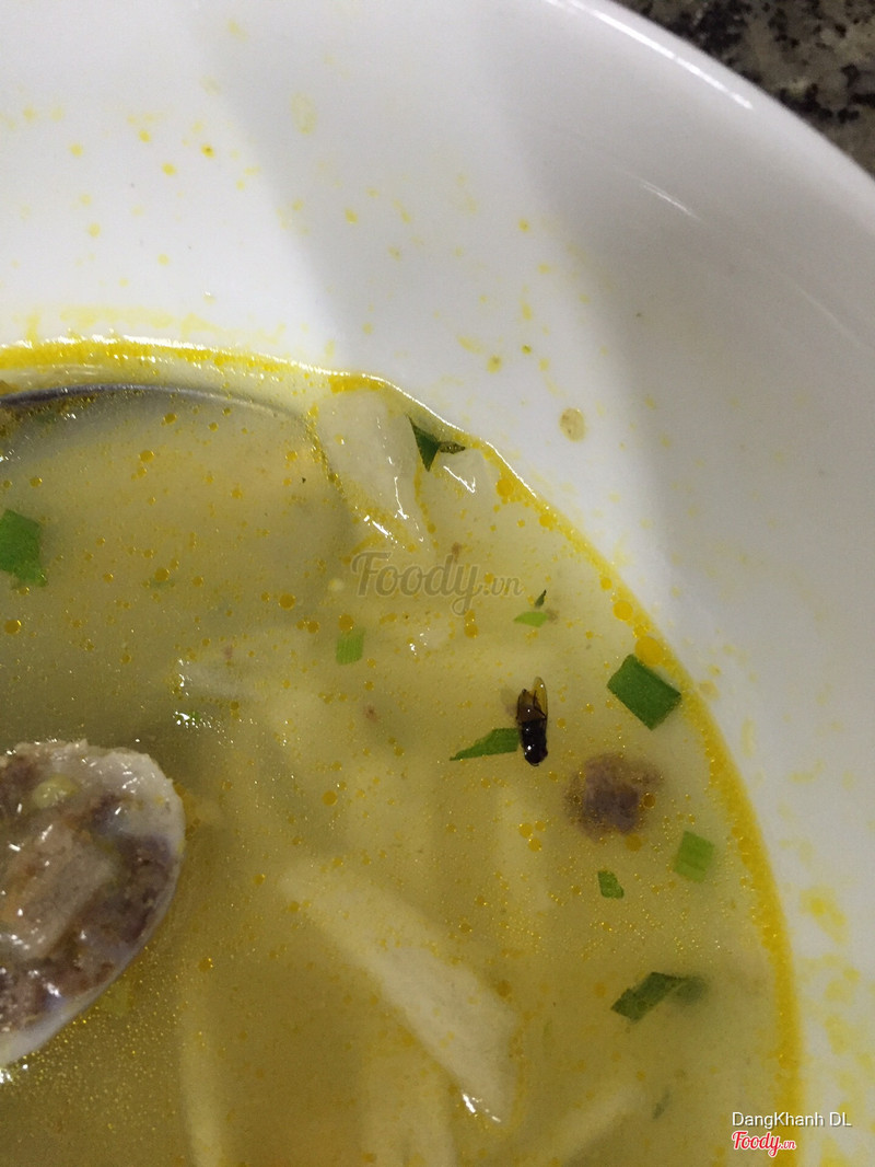 Con ruồi trông kinh vãi
