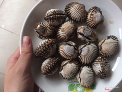Sò huyết nướng mọi. Giá 100k/dĩa