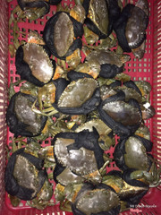 Cua Cà Mau. Cua thịt (sống 210k/kg; chế biến 280k/kg). Cua gạch (sống 300k/kg; chế biến 370k/kg)