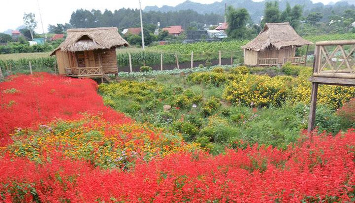 Nhà Sàn Quyết Chí