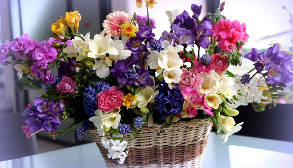 Paris Flower - Shop Hoa Đà Nẵng