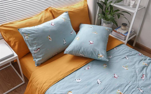 EnVogue Home - Hoàng Văn Thái