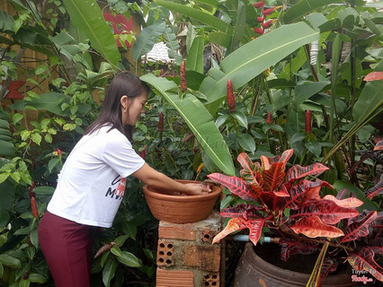 Không gian mát mẻ, thoáng đãng