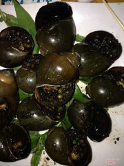 ốc bươu nướng tiêu